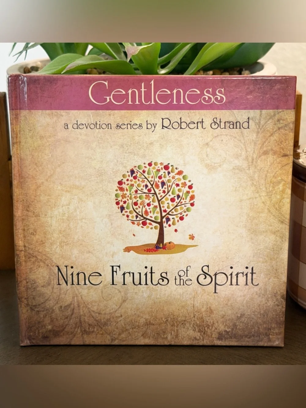 Set of 9 New Fruits Of The Spirit Books